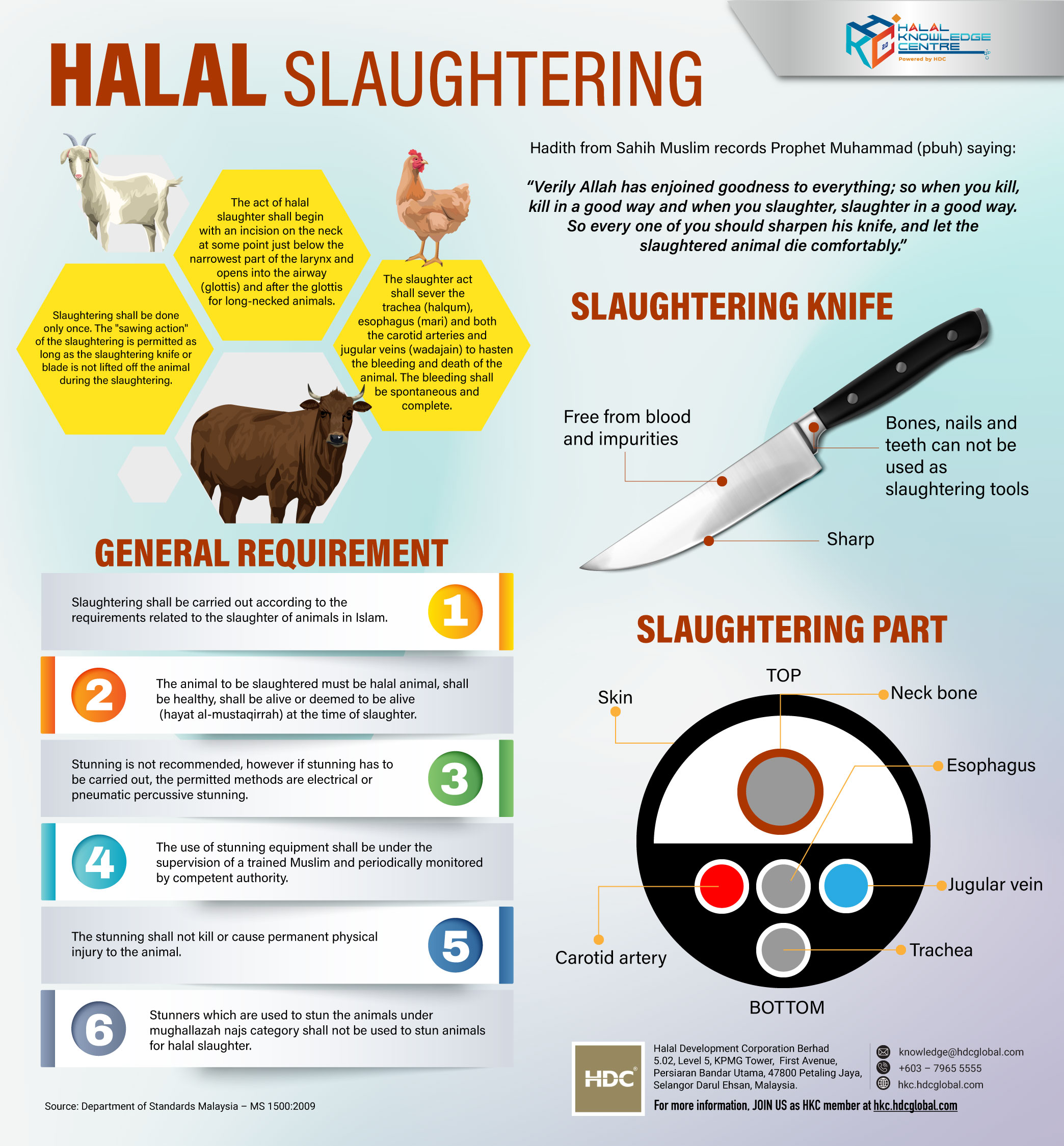 Infographic